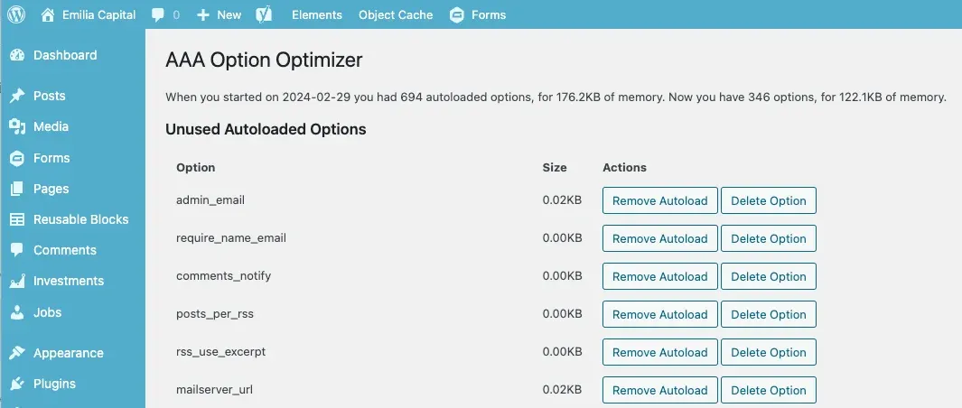 AAA Option Optimizer plugin screen listing unused WordPress options with remove actions
