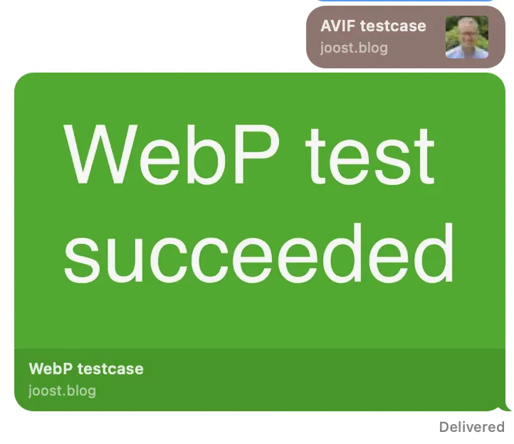 AVIF (negative) and WebP (positive) test results on iMessage.